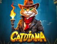 новый слот Catdiana