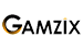 Разработчик Gamzix